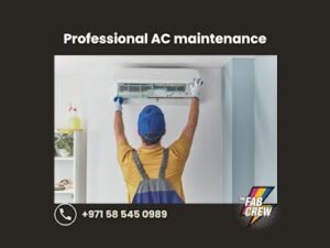 Professional AC Maintenance