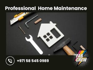 Professional Home Maintenance