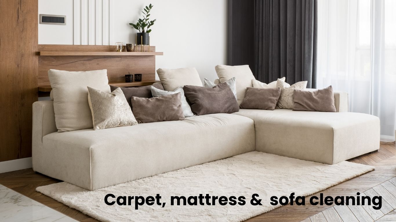 Carpet, mattress & sofa cleaning